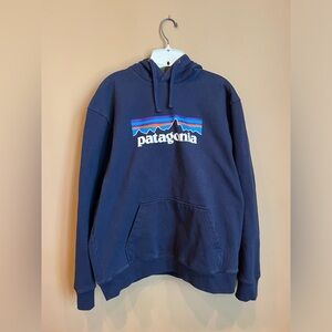 Patagonia Hoodie